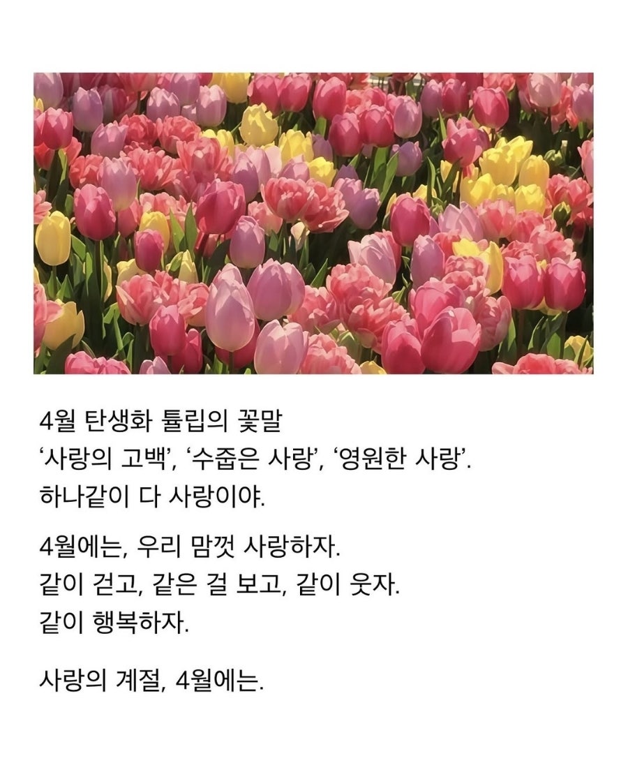 오분 이미지