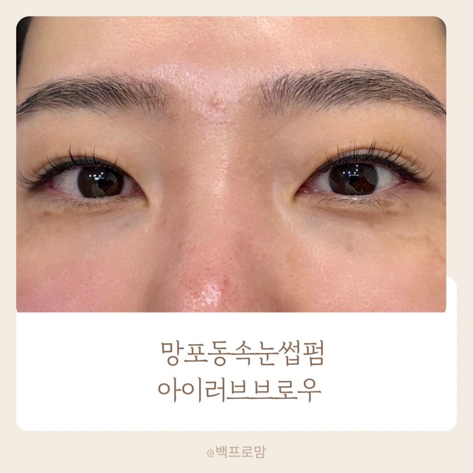 아이러브브로우 이미지