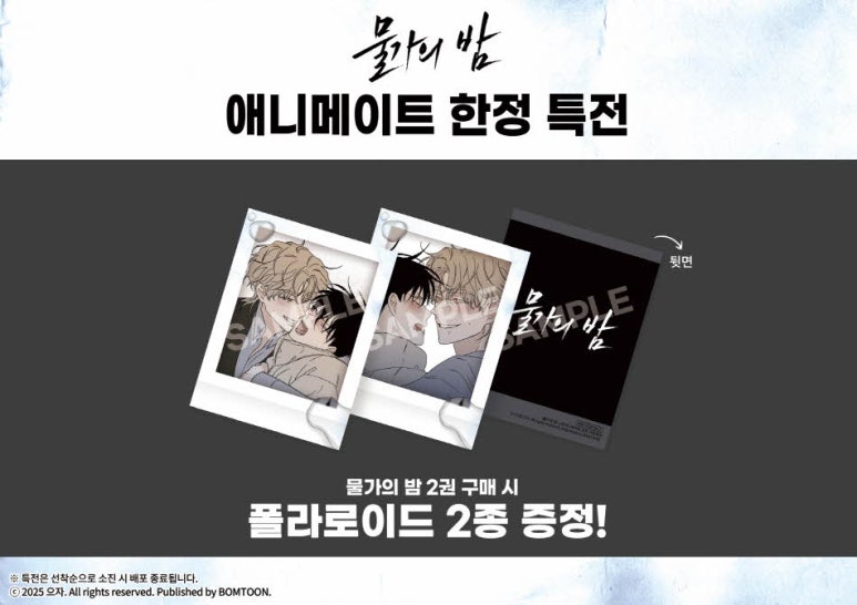 미샵 이미지