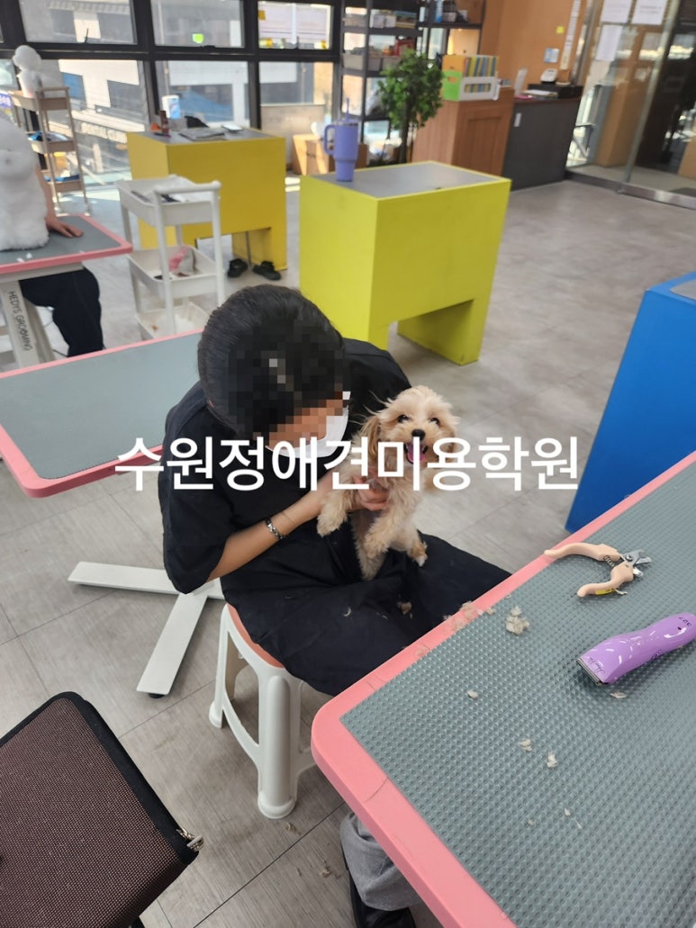신세계미용 이미지