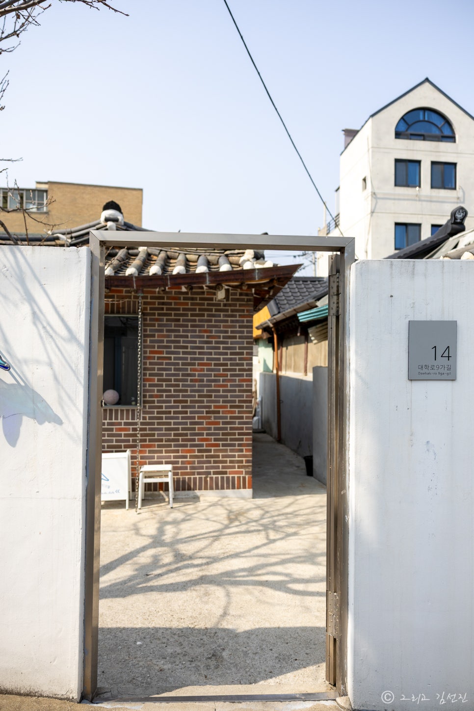 디터틀 이미지