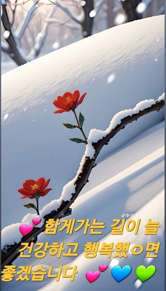 수지상사 이미지