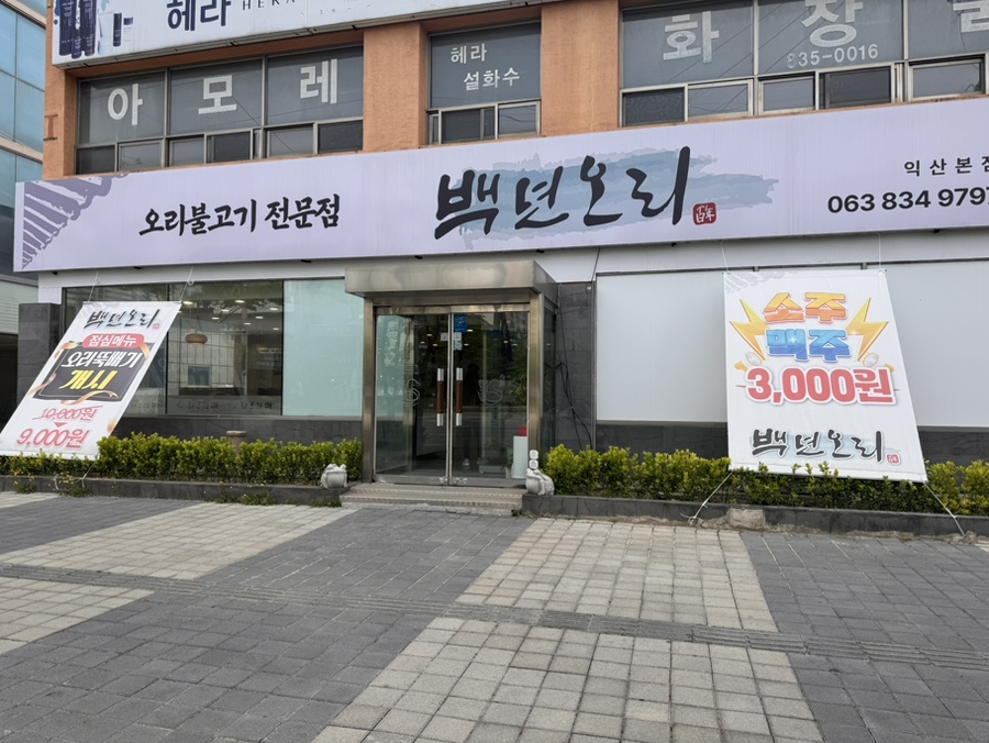 백년오리 이미지