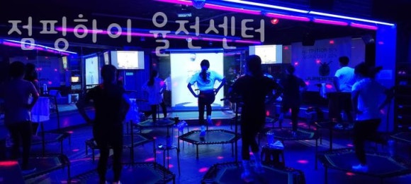 점핑하이 이미지