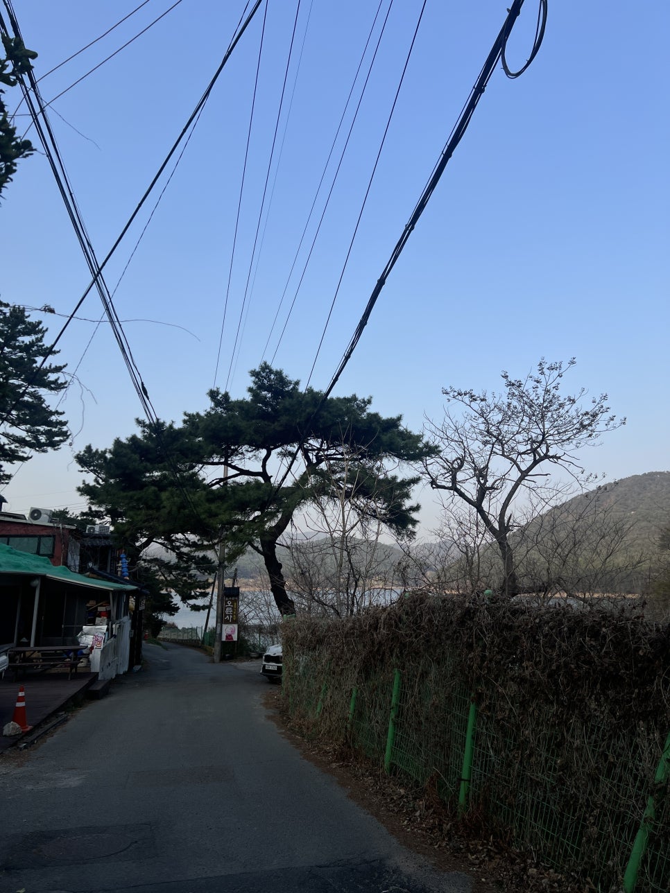 목련집 이미지