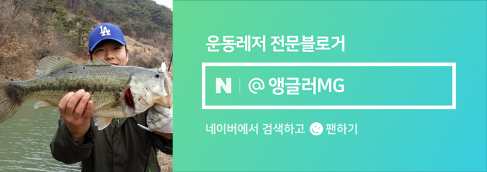 딕션비 이미지