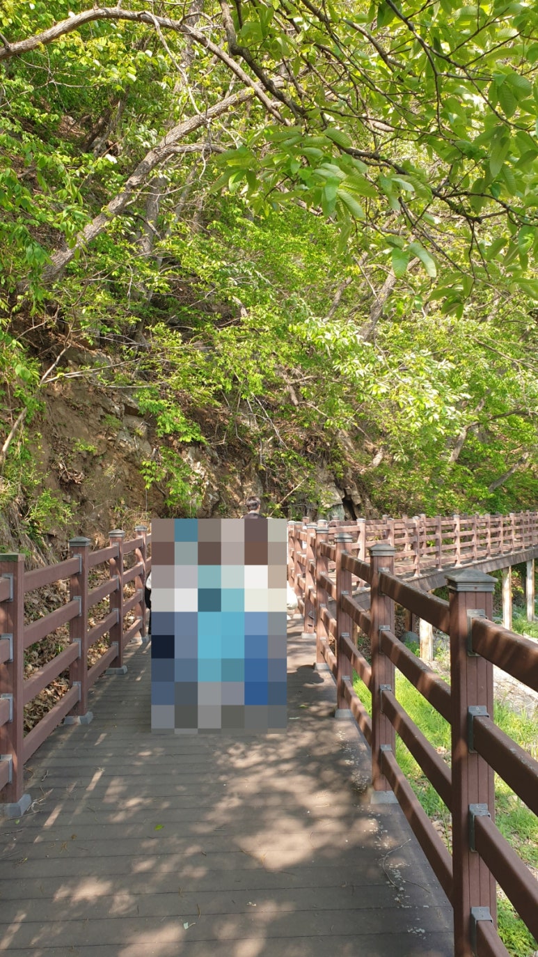 호두나무펜션 이미지
