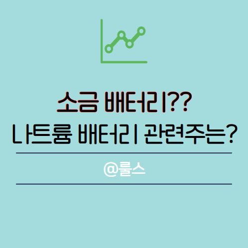 백광밧데리 이미지