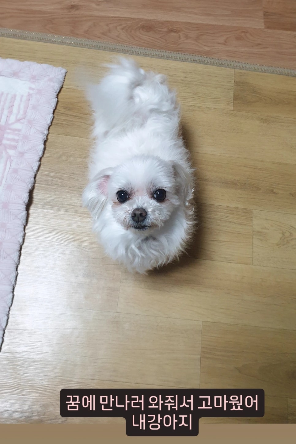 (주)에니웨이 이미지
