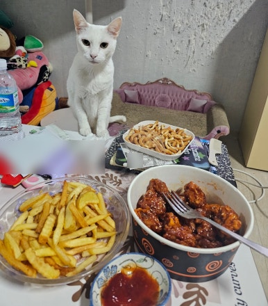 다감옛날통닭 이미지