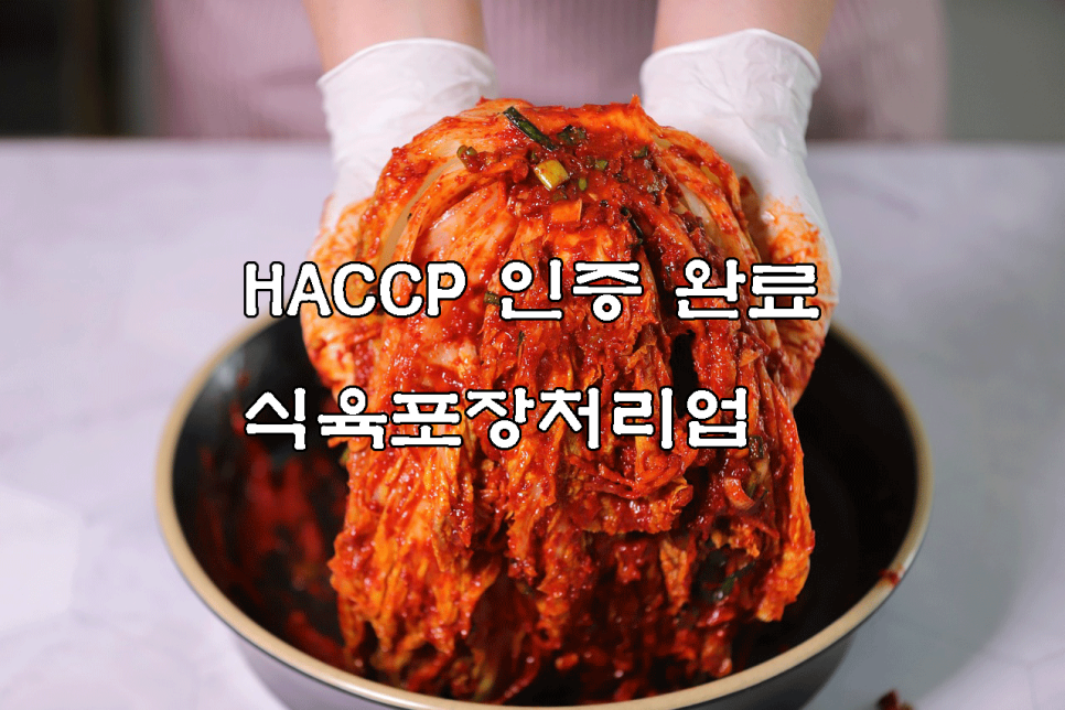 에임컨설팅 이미지