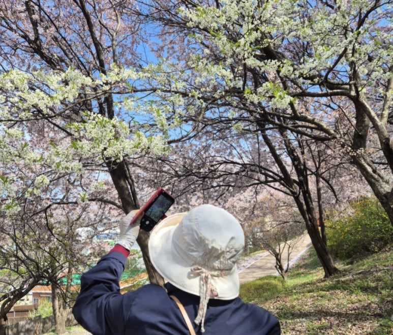 속초시노인복지관 이미지