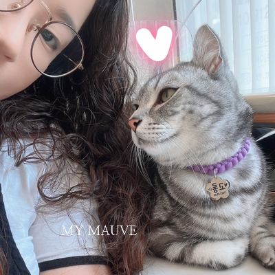 마이모브 이미지