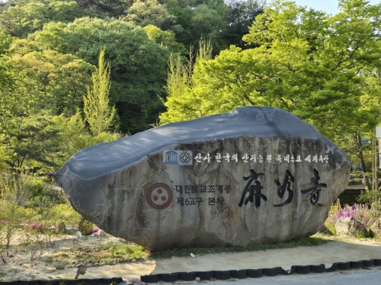 공주계곡이레캠핑장 이미지