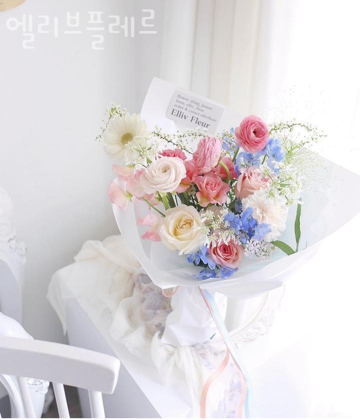엘리브플레르 이미지