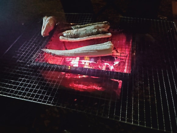 담터 금학캠핑장 이미지