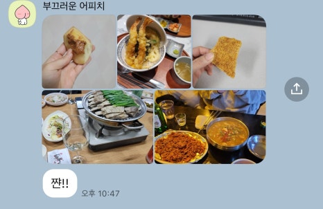 메이트피티 이미지