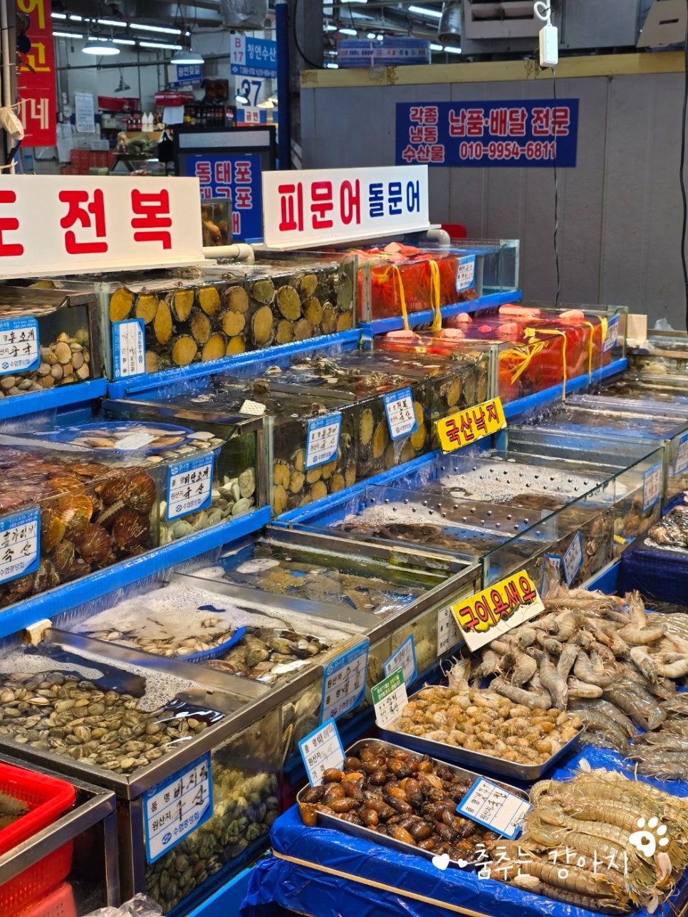 찬영수산 이미지