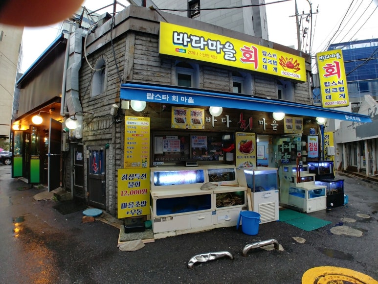 오태호킹크랩 이미지