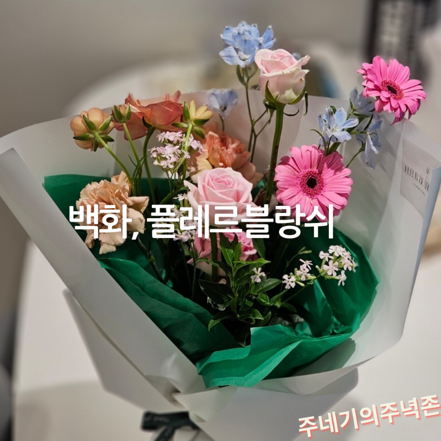스튜디오백화 이미지
