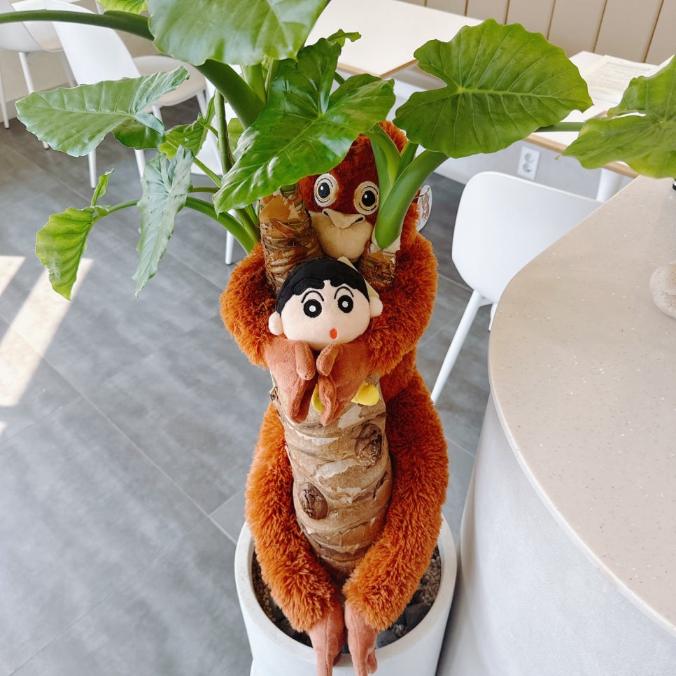 커피89 이미지