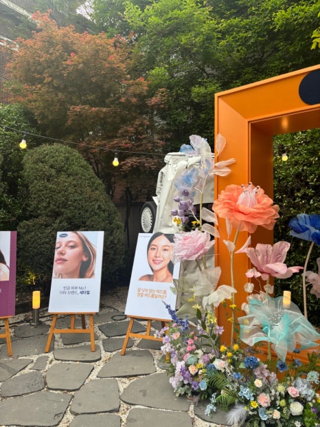 스킨갤러리 이미지