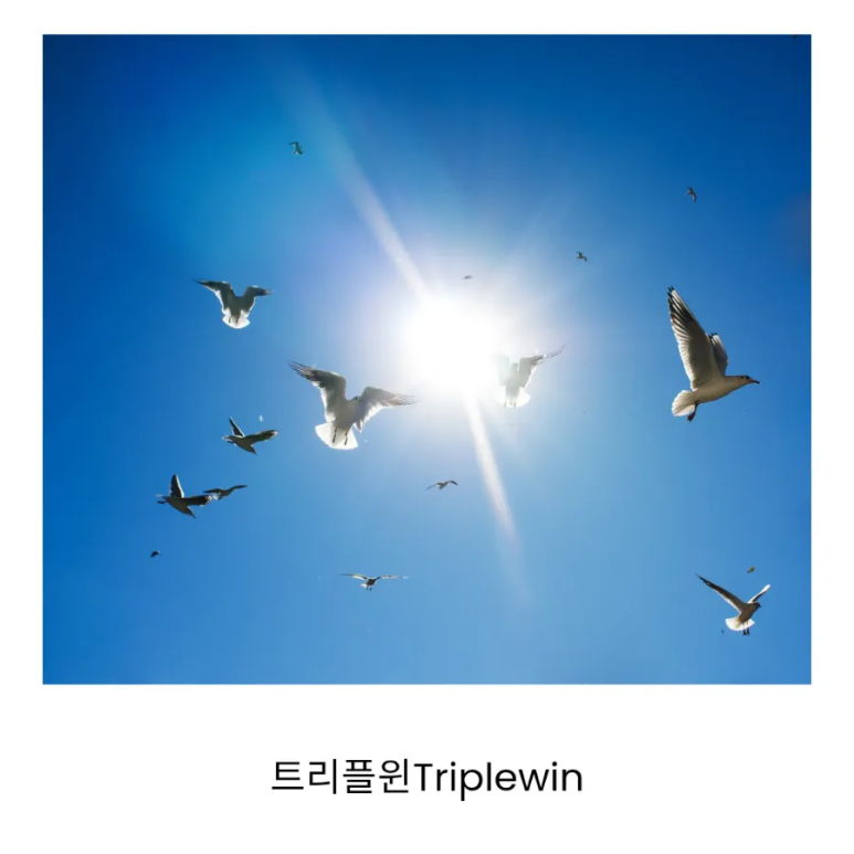 트리플윈 이미지