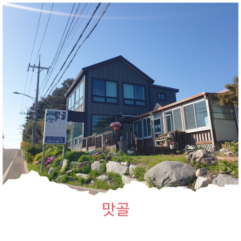 동호인력 이미지