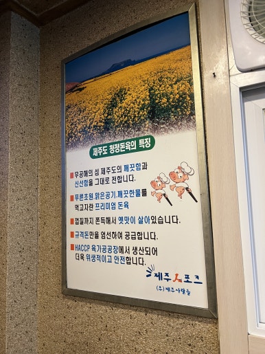 제주토종흑돼지 이미지