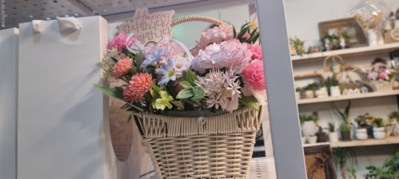 보뇌르플루 이미지