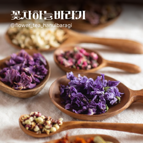 이노투푸드 이미지