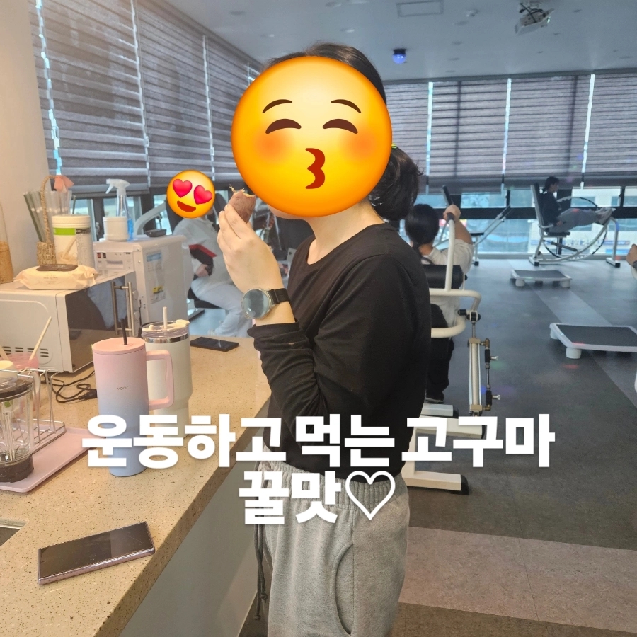 호이플랜 이미지