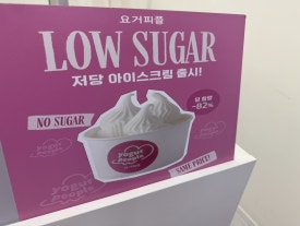 요거피플 이미지