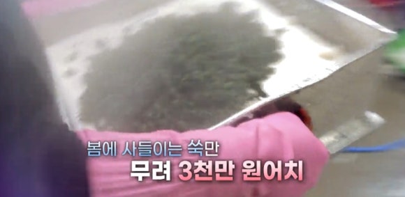전통떡집쑥떡쑥떡 이미지