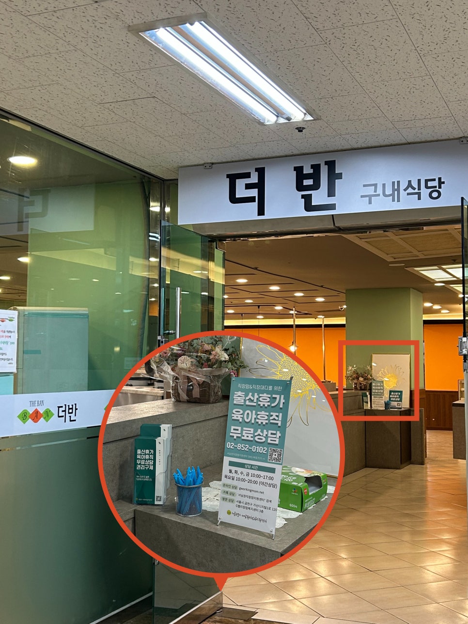더반 사진 6