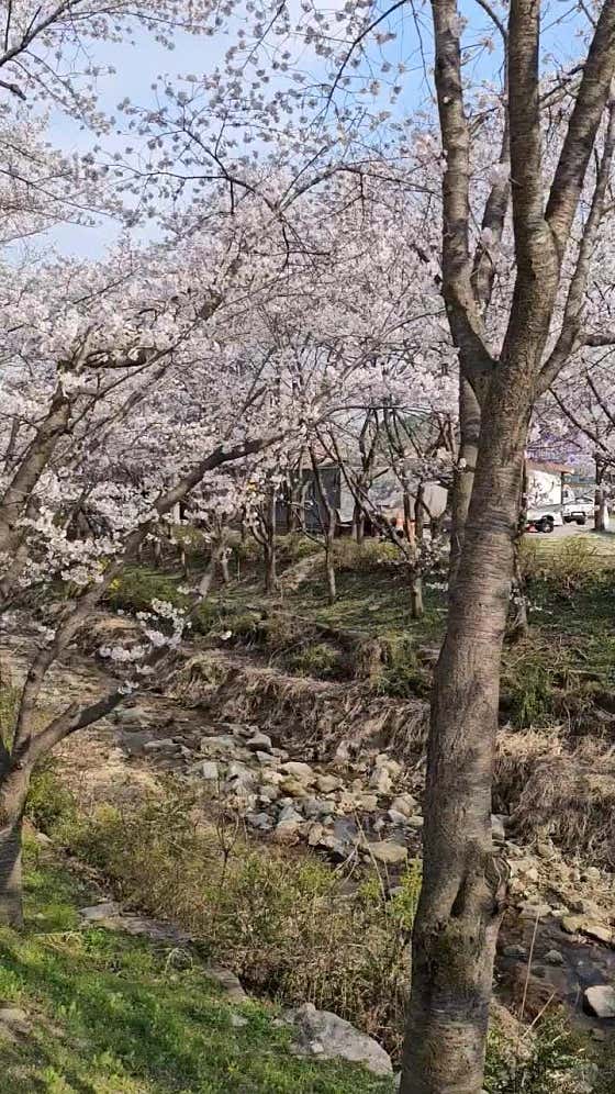 설봉낚시 이미지
