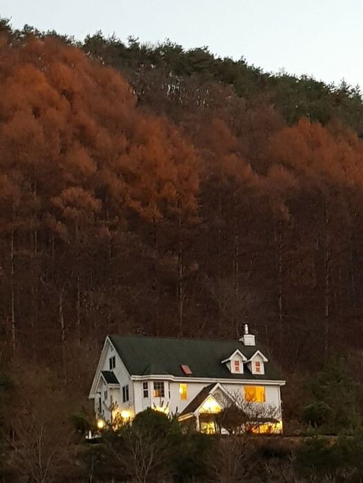 바른먹거리 이미지
