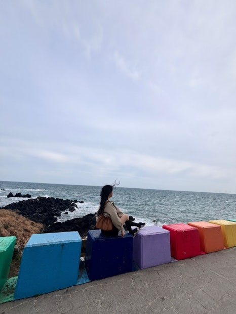 매일투어 이미지