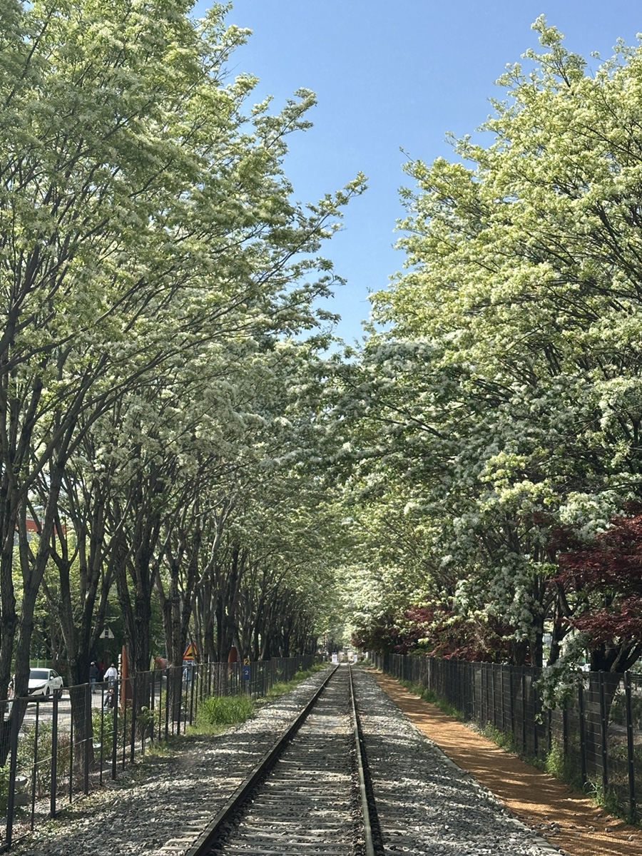 (주)팔복 이미지