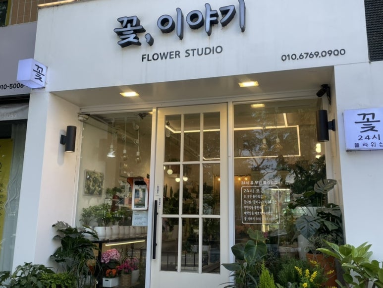 24시꽃 이미지