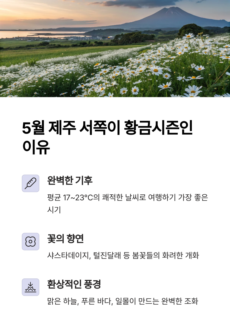 제주서쪽 이미지