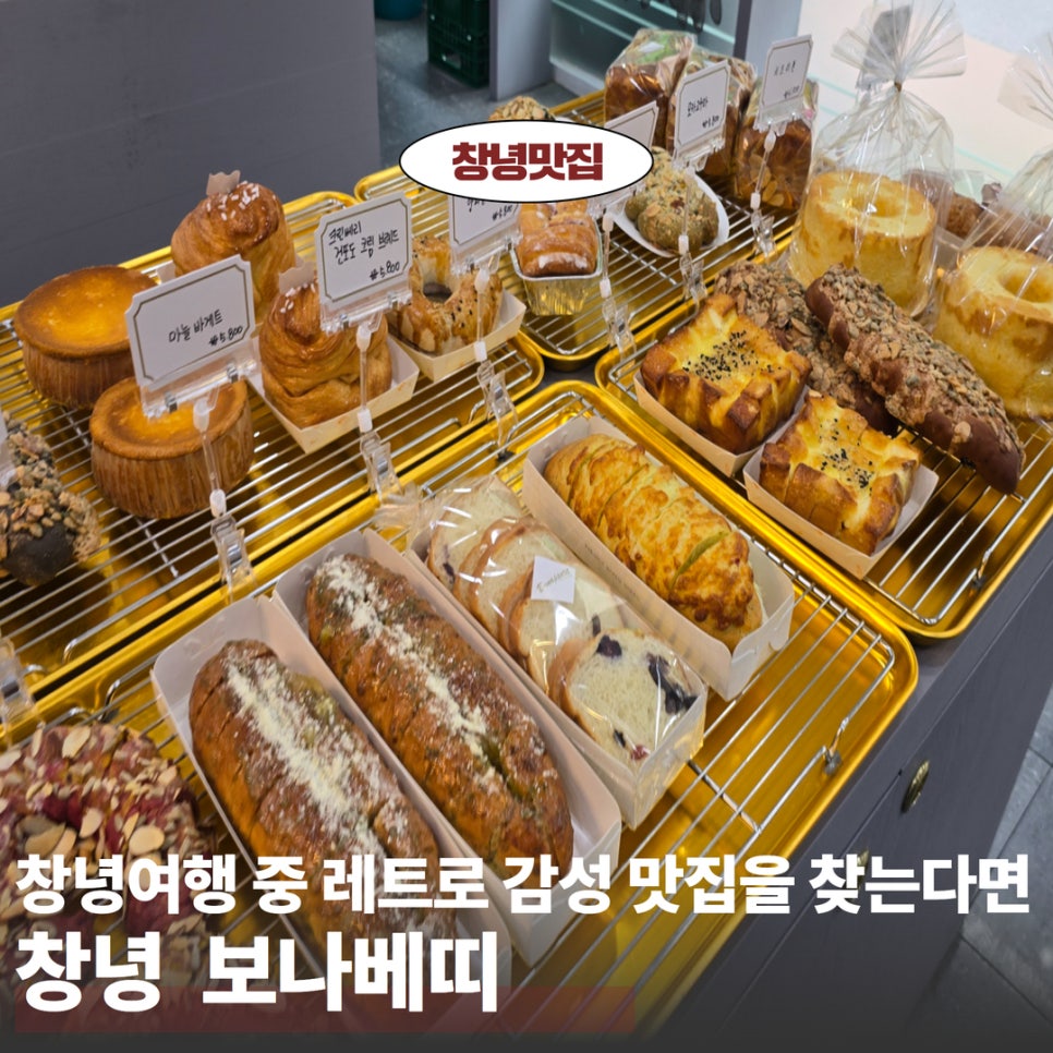 보나베티 이미지