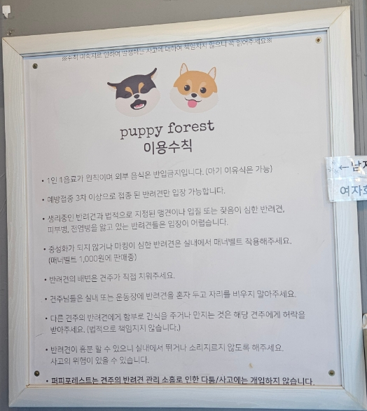 퍼피포레스트 이미지