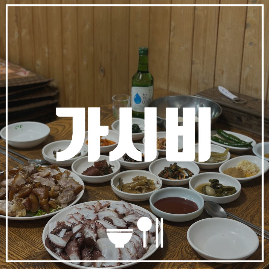 가시비 이미지
