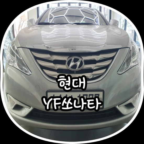 김프로카케어 이미지