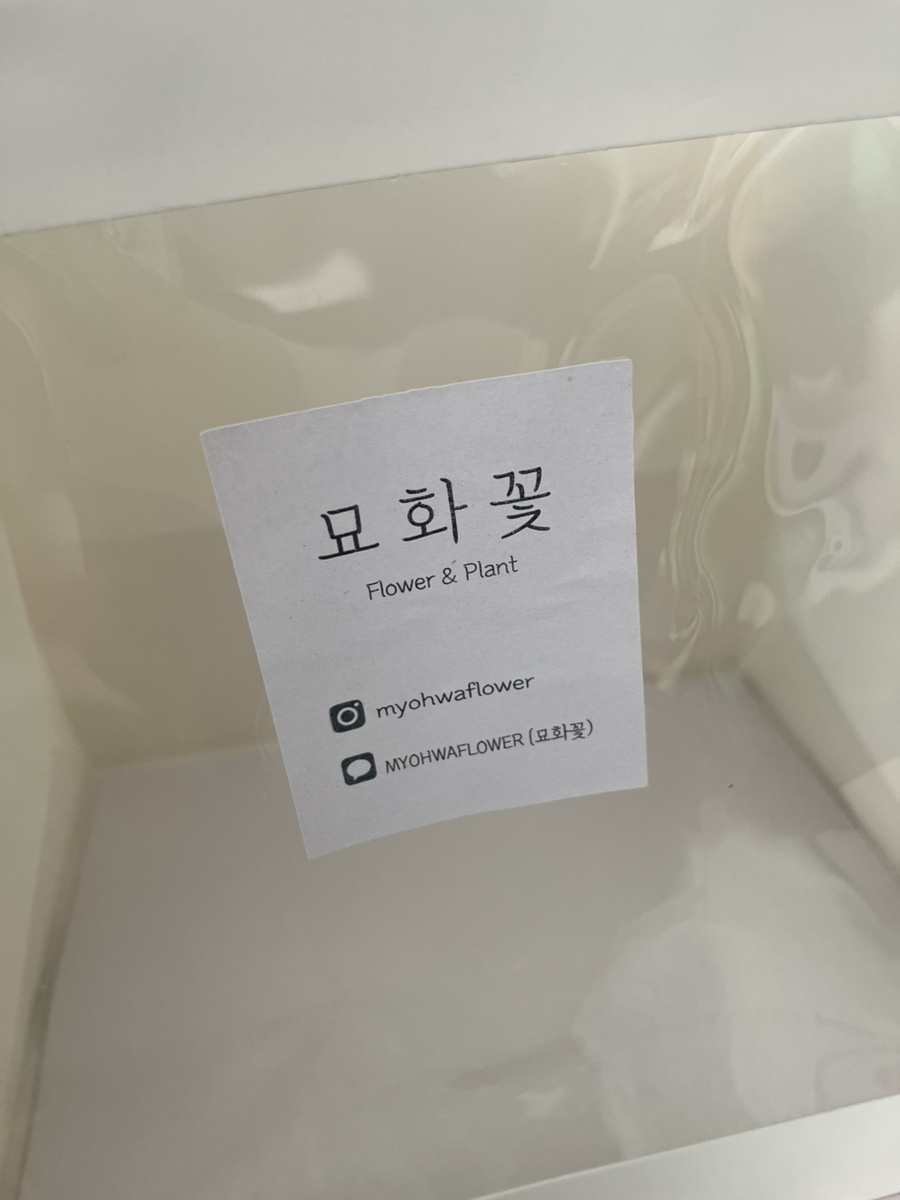 묘화꽃 이미지