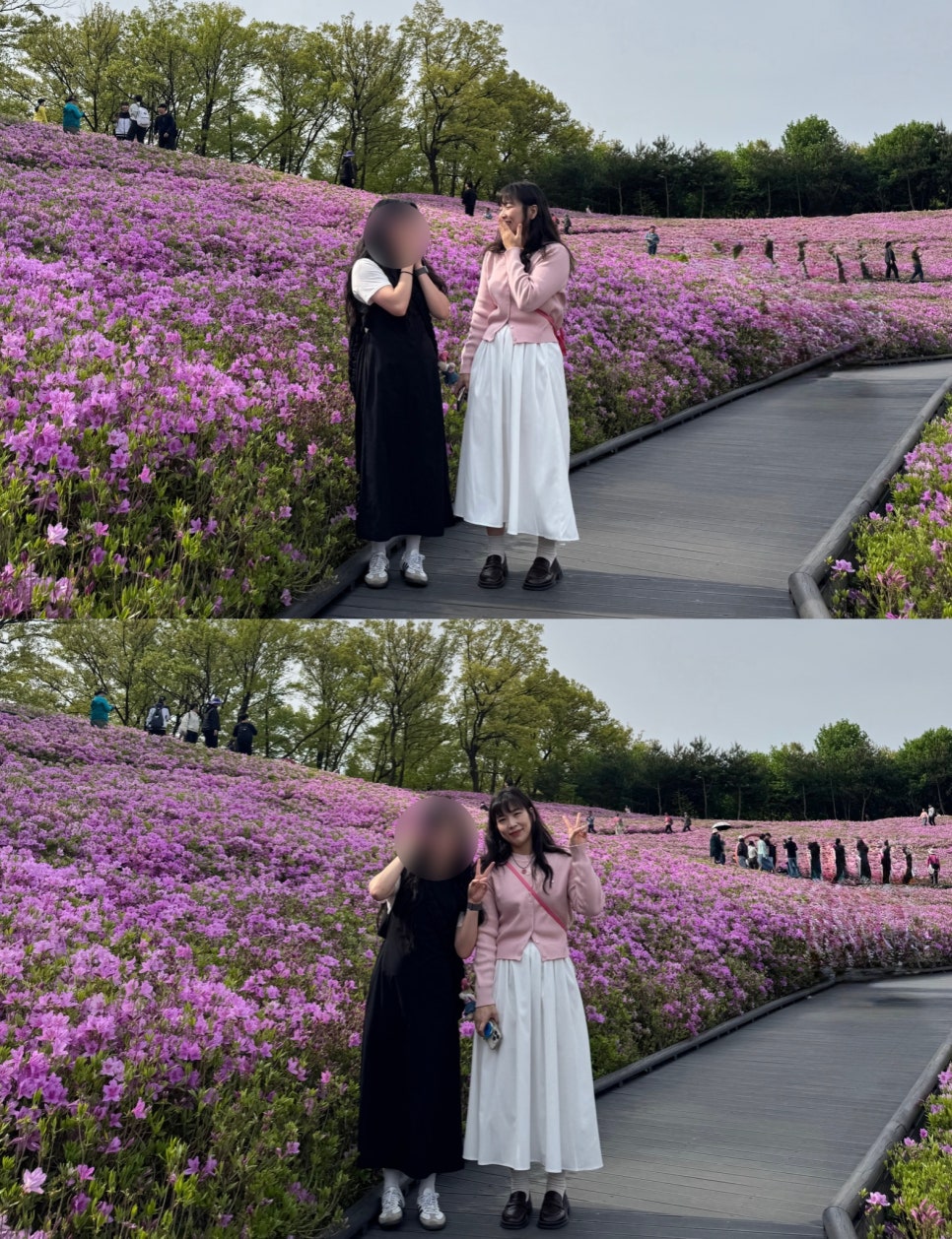 나비정원 이미지