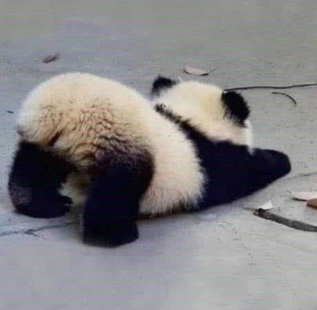 우가 이미지