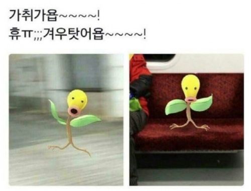 공주상회 이미지