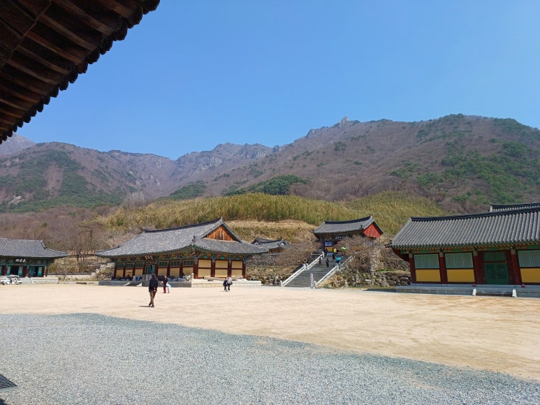 나우커피나주 이미지